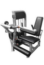 Muscle-D Fitness Leg Extension-Seated Leg Curl Combo