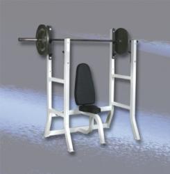 Wilder Fitness Free Weight Olympic Shoulder Press