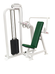 Wilder Fitness Selectorized Tricep Extension