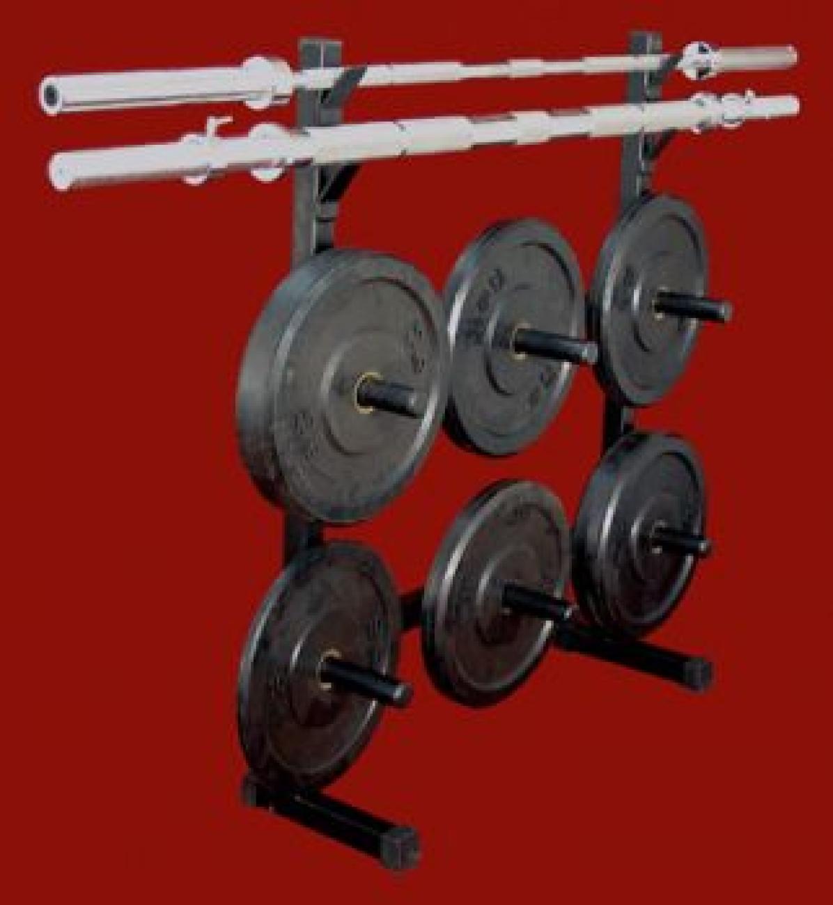 TDS front loading rack system for Olympic Bumper plates 2 Bar