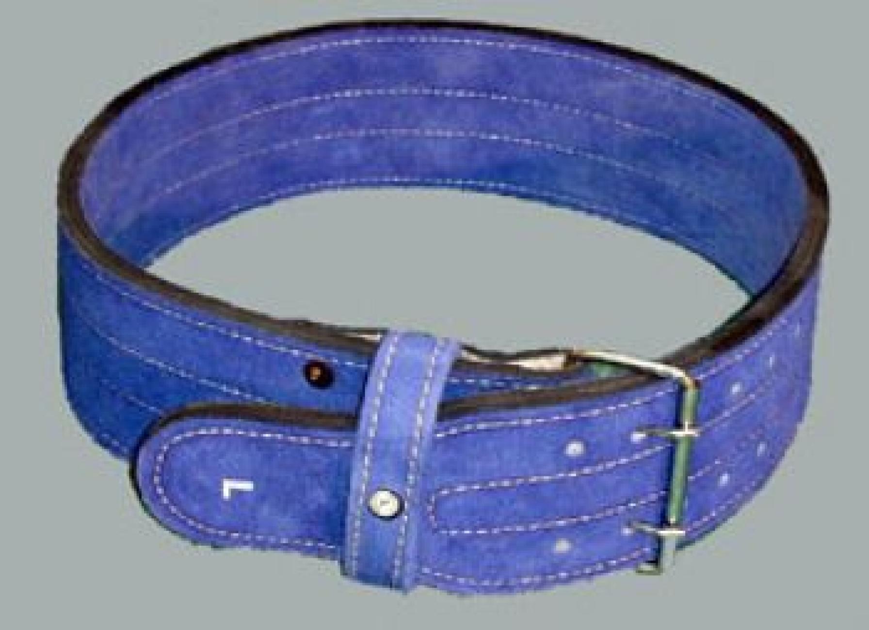 TDS Power Lifting Leather Belt