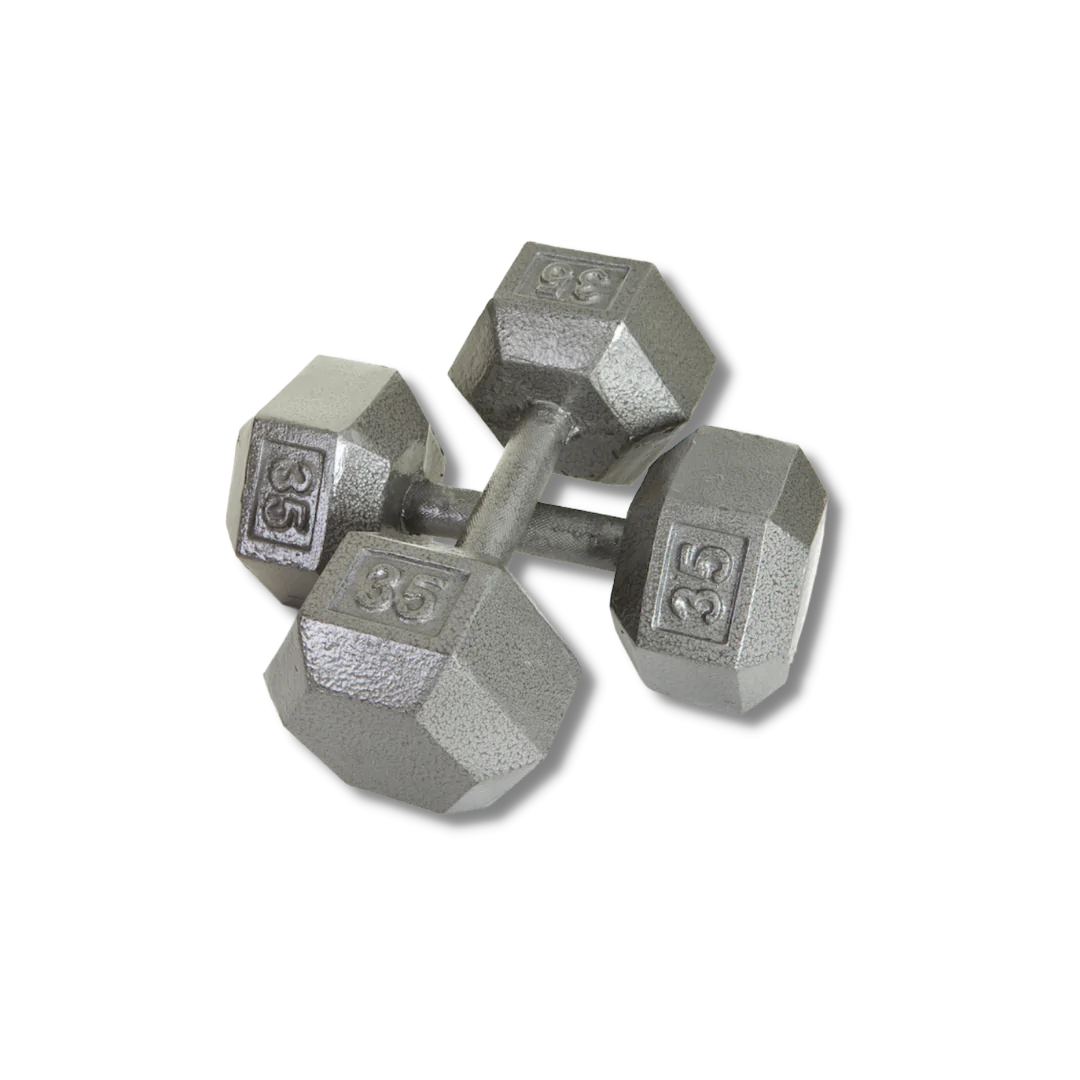 Troy Hex Gray Cast Iron Dumbbell