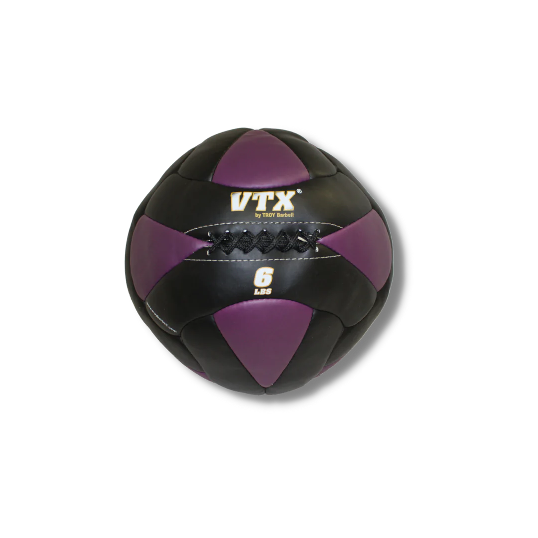 TROY VTX LEATHER WALL BALLS 6 LBS (Black/Purple)